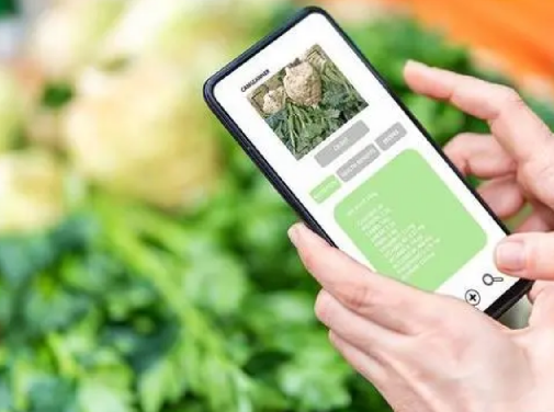 防偽標(biāo)簽定制服務(wù)，讓您的品牌更出眾